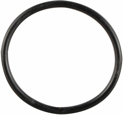 Truma O-Ring 32 x 2,5 mm - fr Heizstab 230 V