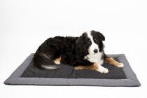 Outdoor-Decke fr Hunde ABBY