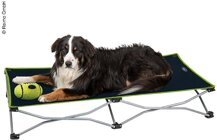 Das beste Campingzubehör für Hunde: 17 unverzichtbare Dinge