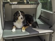 Hundematratze - Heckauflage fr VW T5/T6 California